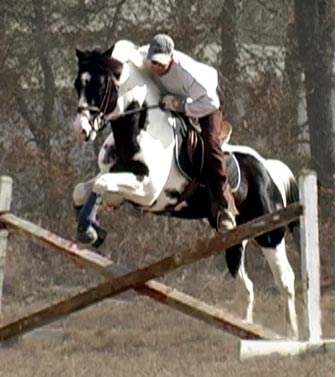 horses jumping. Horses Jumping