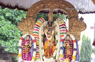 Ammavasai,Vaigasi, Purappadu,Video, Divya Prabhandam,Sri Parthasarathy Perumal, Triplicane,Thiruvallikeni,Utsavam,