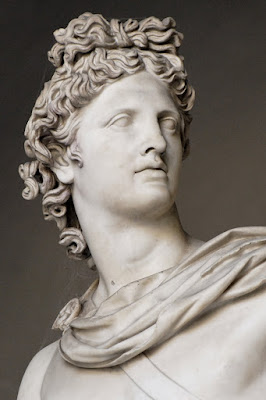 Apollo Belvedere, detail head