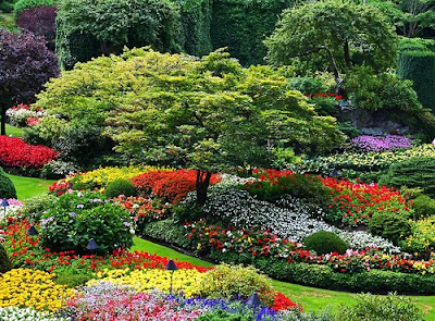 most beautiful Garden Photos