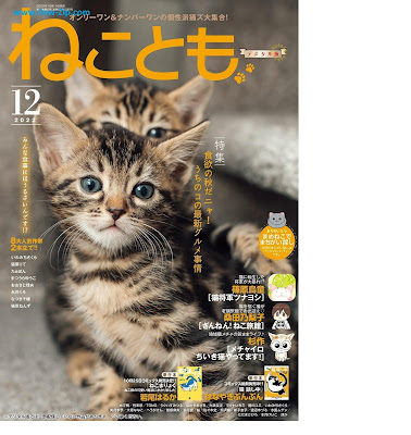 ねことも 2022年12月号 Neko Tomo 2022-12 