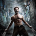 The Wolverine 2013 BRRip 720p