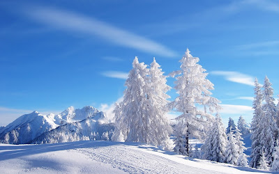 Winter Backgrounds
