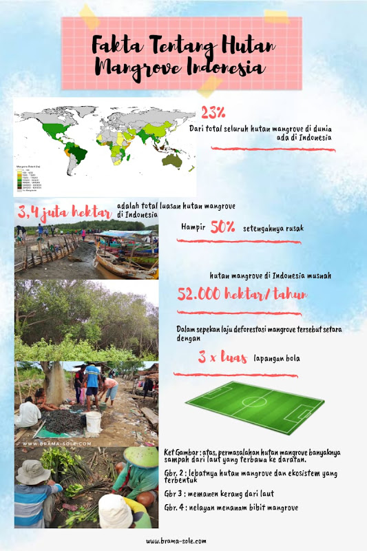 Fakta tentang hutan mangrove Indonesia