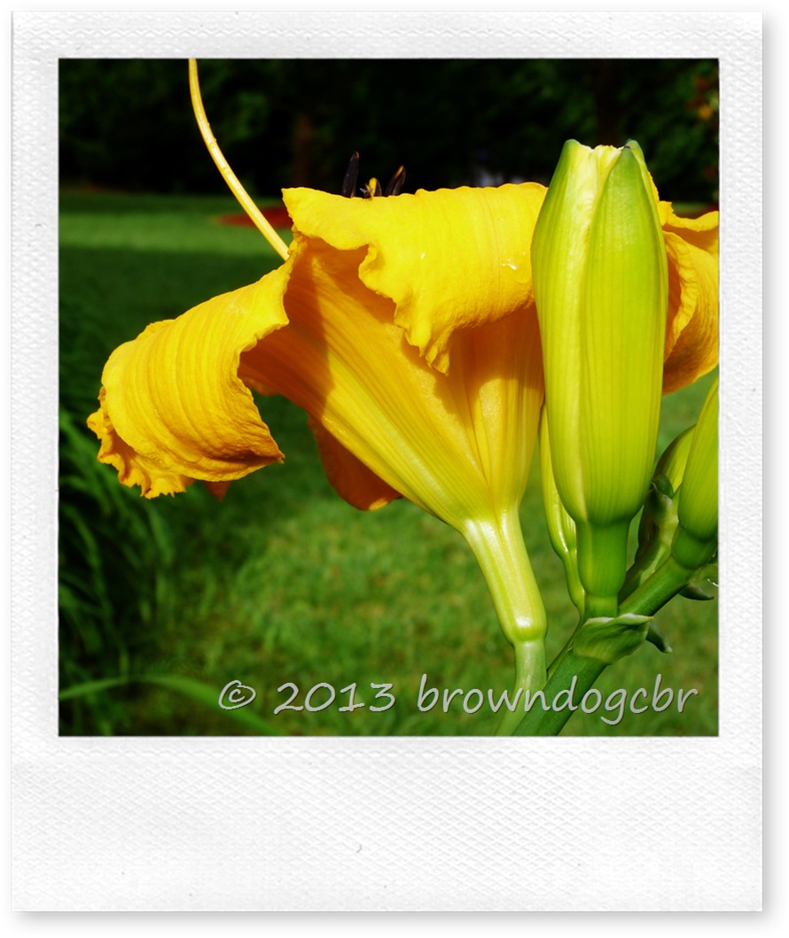 P1210852
