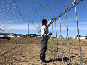 【20190413】ビニペットと直管を設置するの図