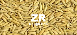 벼 나락 쌀 가격 전망 : 해외선물, 벼 나락 쌀 선물 매매기법 투자전략, 러프 라이스 Rough Rice CME CBOT: ZR Futures (1 CWT/센트)