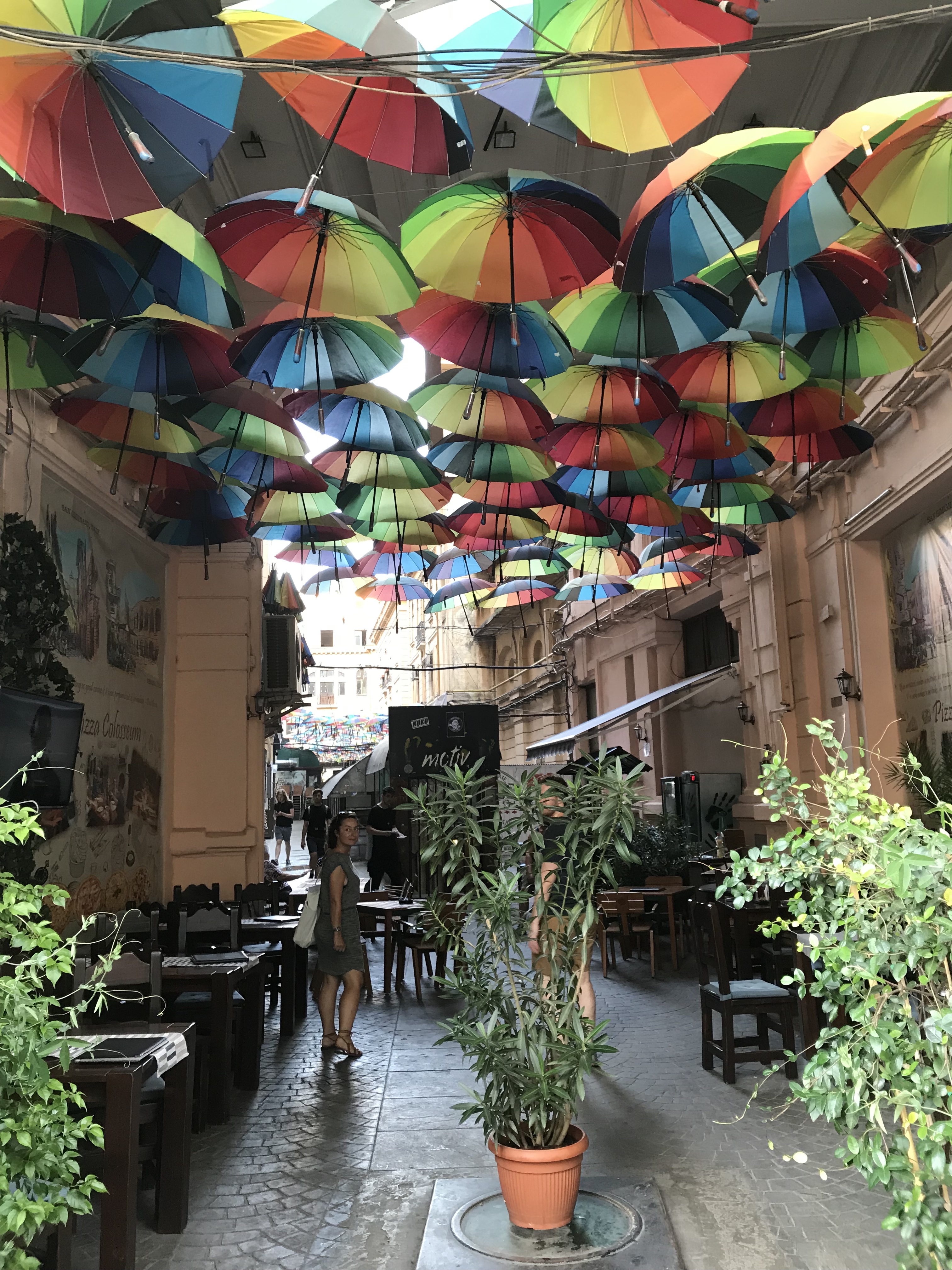 MONKEY BAR, Belgrade - Menu, Prices & Restaurant Reviews - Tripadvisor