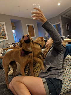 Me holding my glass of water in the air being smothered by two puppies.