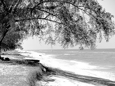 M.Zuiko Digital 14-42mm f/3.5~5.6 EZ, Quiet On The Beach 05