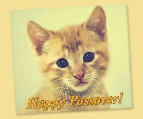Passover Wishes pics free download