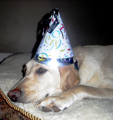 Reyna laying on her bed pouting with a birthday hat on her head.