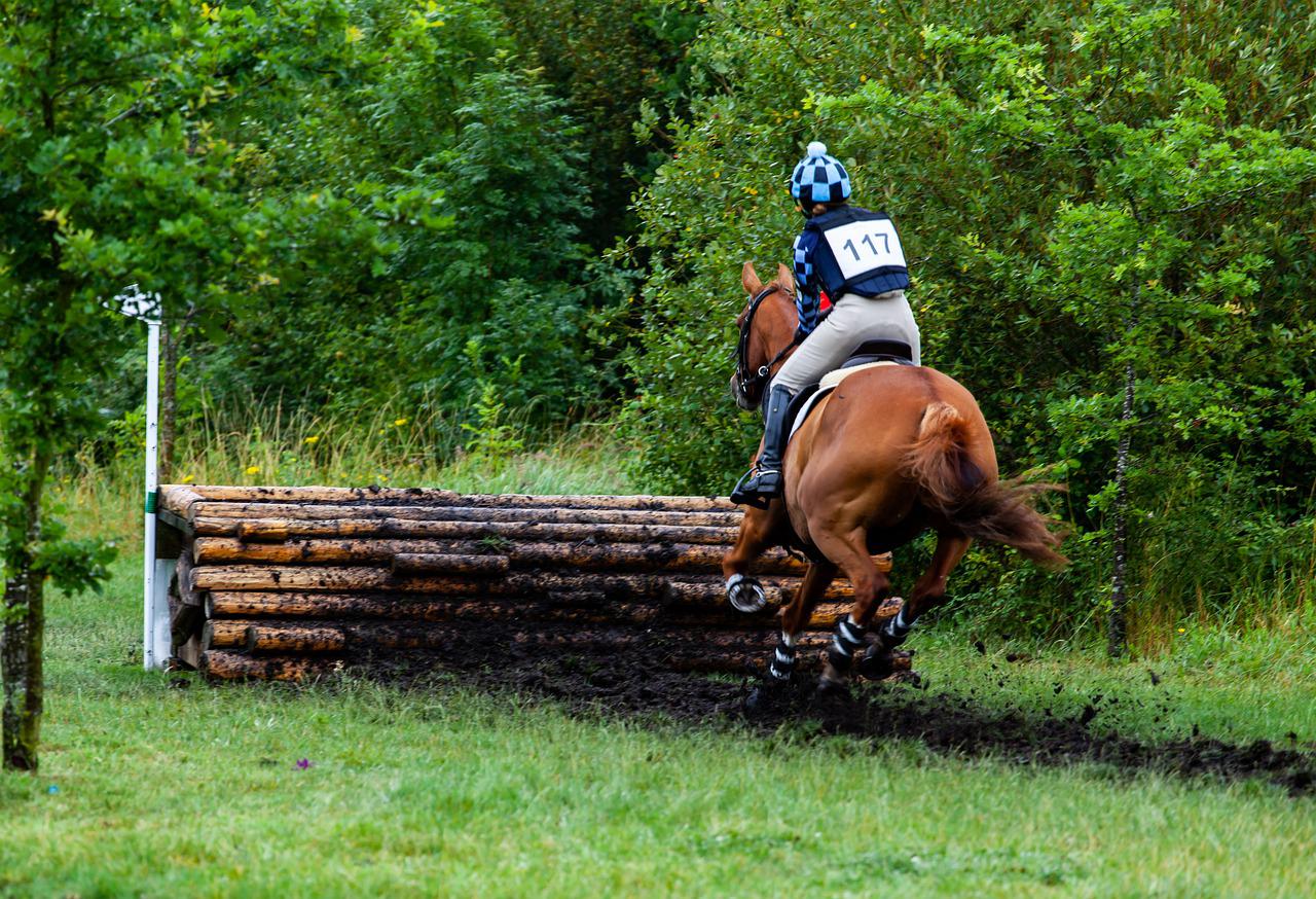 Studs in the horse's shoes to provide extra grip are a must.