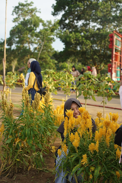 Pengunjung Rajati Flower Garden Selfie di balik bunga