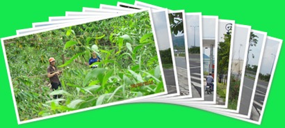 View album