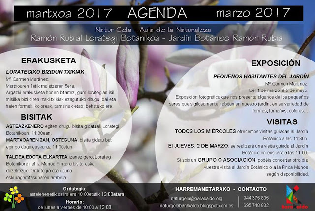 Programación en marzo en el aula de la naturaleza