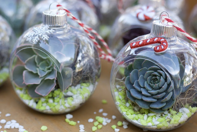 DIY, Succulents, Christmas, crafts, decor, seasonal, holiday crafts, holidays, ornament, terrarium