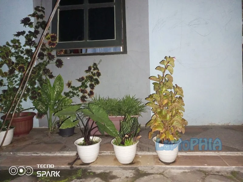 Hasil Foto Kamera Tecno Spark 7 Pro
