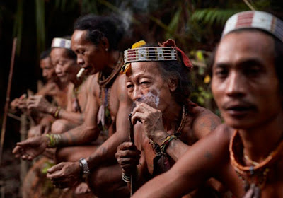 10 Suku  Primitif  di Indonesia  yang Terancam Punah 