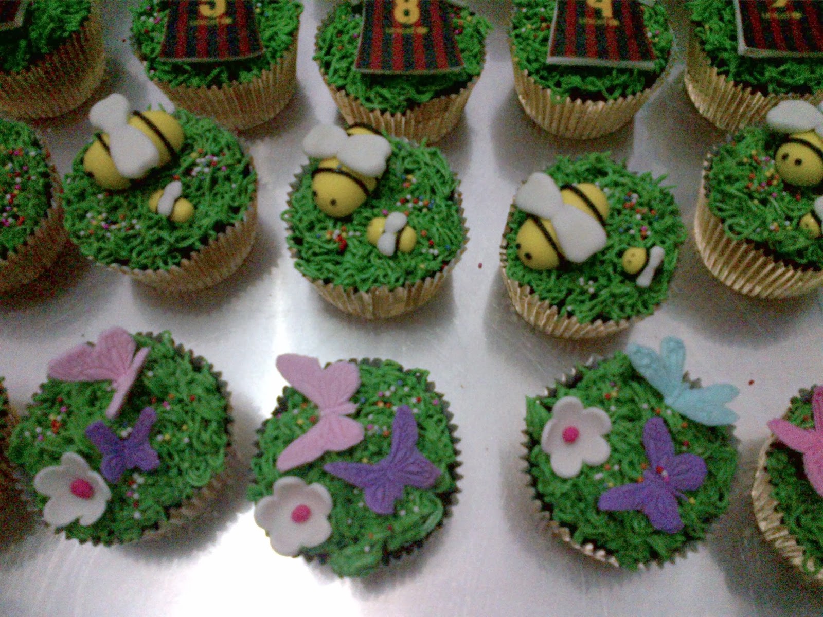 Cupcakes by Chocoholic Cupcakes Tema Taman dan Baju Bola 
