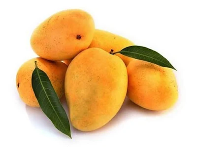The mango tree is considered sacred both by the Hindus and the Buddhists. Hindus attach great religious significance to this plant, and consider the plant as a transformation of the lord of Creatures, Prajapati, who later beacme the Lord of Procreation or the 'Lord of all creation'