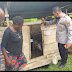 Tingkatkan program Kasuari Satgasres Binmas Ops Damai Cartenz cek ternak babi milik Bapak Emiron Tabuni