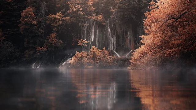 Lago, Árvores, Nevoeiro, Outono, Paisagem