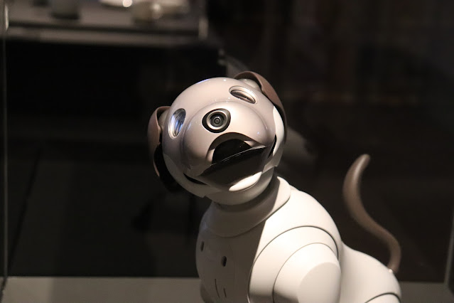 esta bien patear a un perro robot?