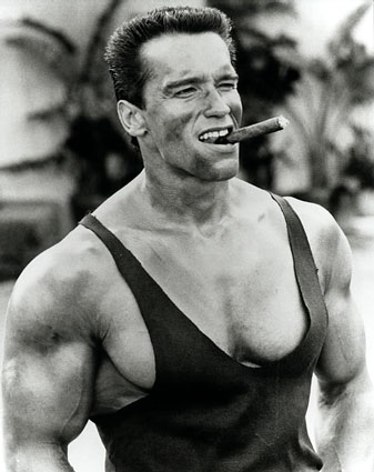 Arnold Schwarzenegger 4 Day Workout