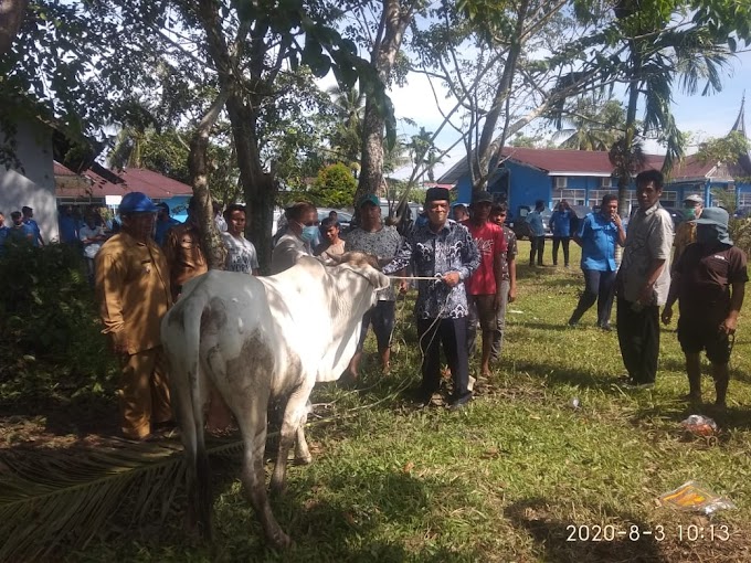 Bupati Ali Mukhni  Saksikan Pemotongan Hewan Qurban Karyawan PDAM Padang Pariaman 