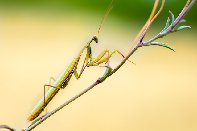 XIII Concurso Fotográfico Naturaleza de La Rioja