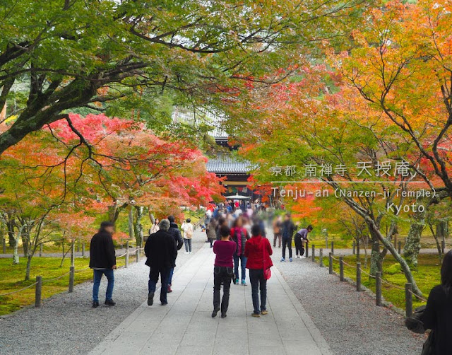 京都 南禅寺の紅葉