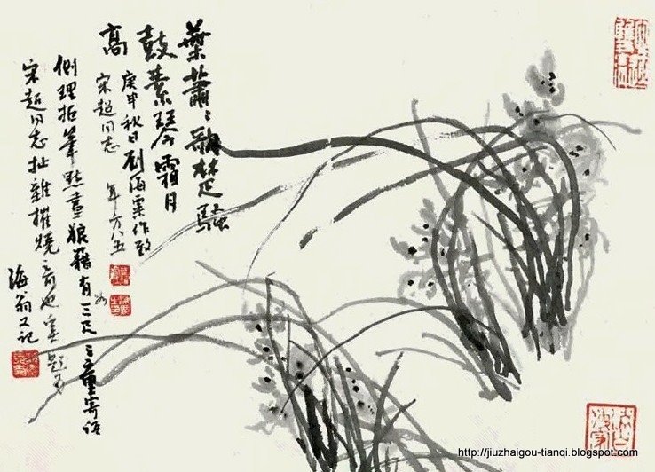 兰花 花:lanhua-09020512061779