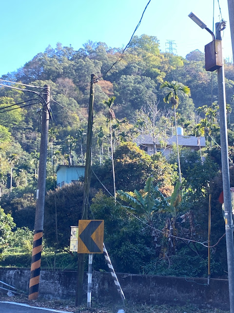 停車處即可看到電塔