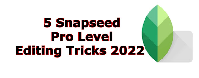 5 Snapseed Pro Level Editing Tricks 2022