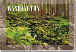 postcard
