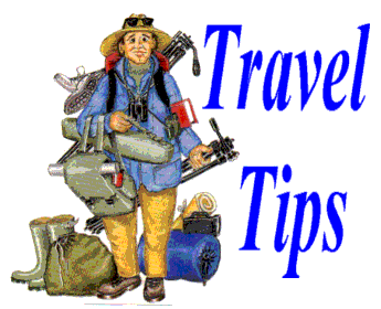 10 Travel Tips 2010/2011