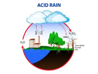 अम्लीय वर्षा क्या है || what is Acid Rain in hindi