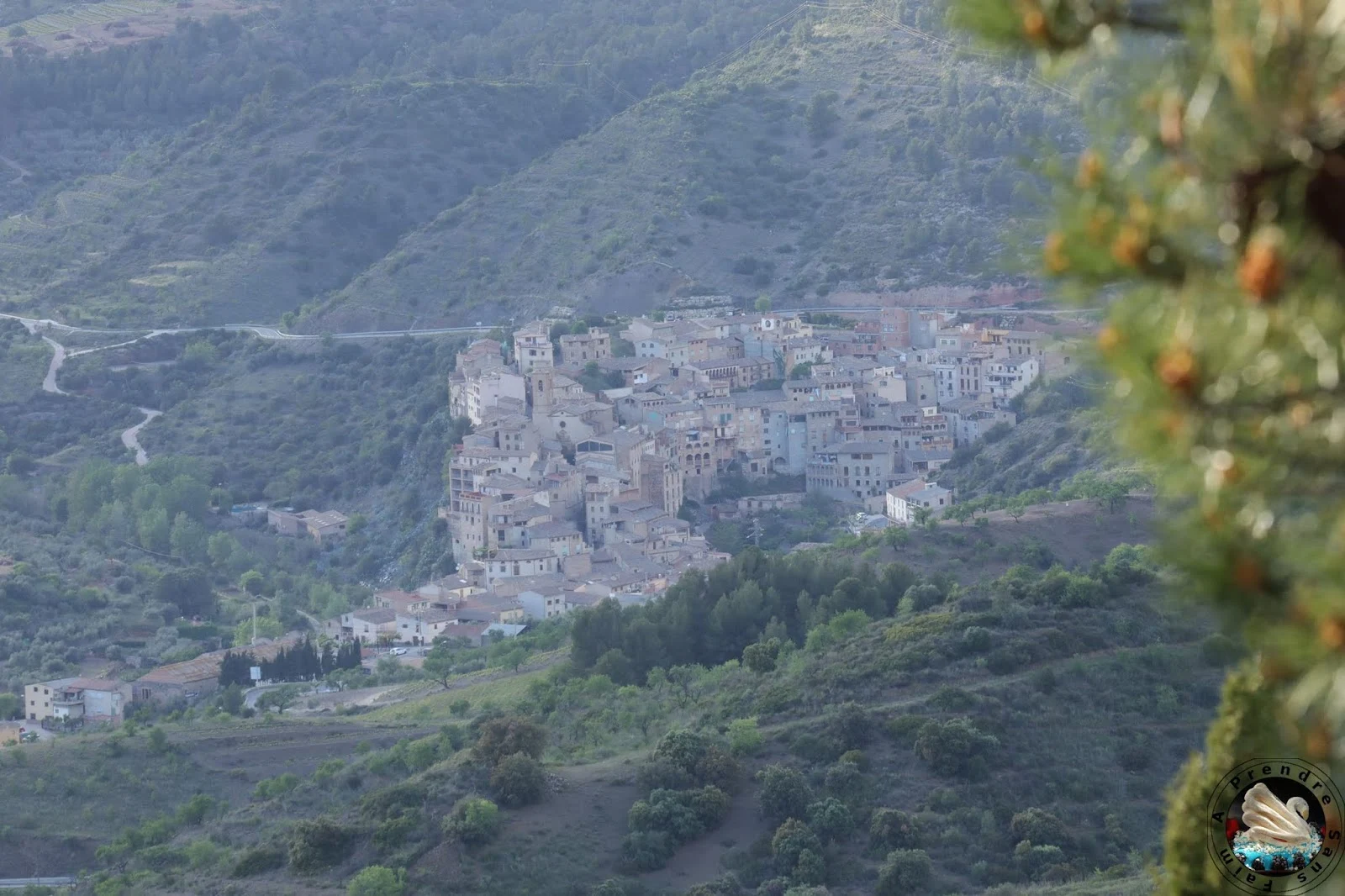 Le vignoble d'Alvaro Palacios : admirer les paysages à l'origine de son vin L'Ermita