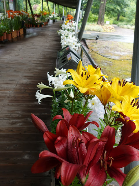 鳥取県西伯郡南部町鶴田　とっとり花回廊　ゆりの館