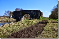 5-DSC_0686