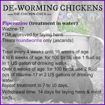  Treatment of Worms inward Chickens including medication dosage information Control & Treatment of Worms inward Chickens 
