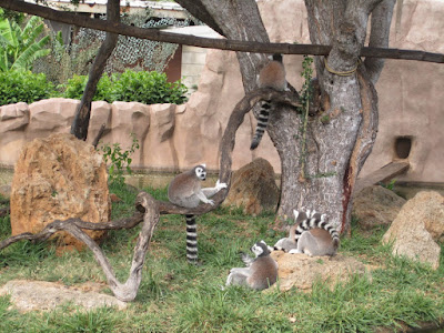ホノルル 動物園 257673-ホノルル ホテル 動物園