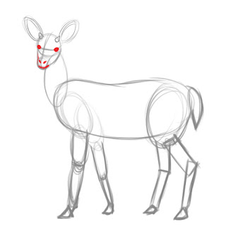 how to draw deer - step 6