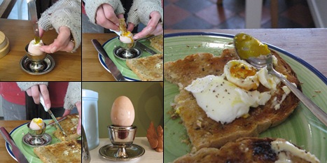 View Eggwatch