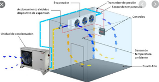 Reparación de cuarto frió 15