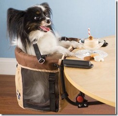 pet high chair