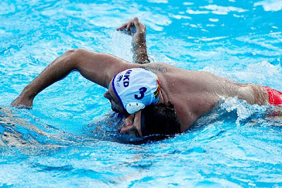 FINA World Championships - World Championships of Water Sports