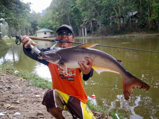  Gambar Ikan Patin Animasi Korea Meme Lucu Emo Bergerak