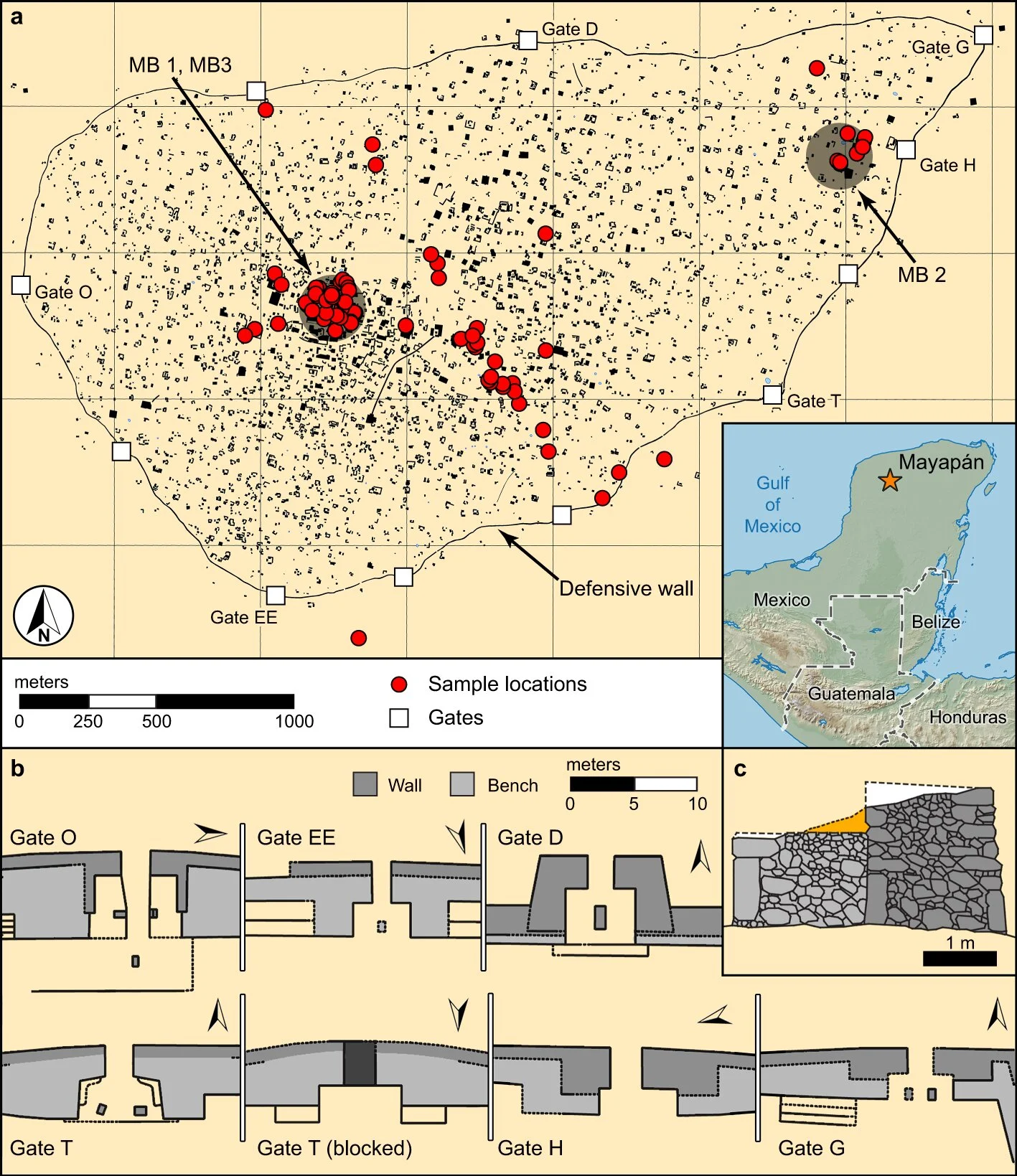 Study: Сollapse of ancient Mayan capital linked to drought